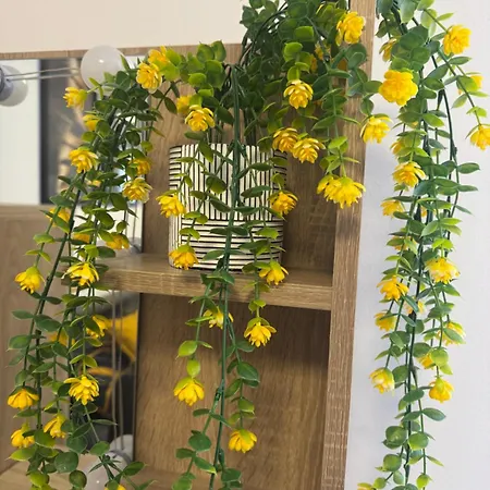 Apartmán M&k Rovinj