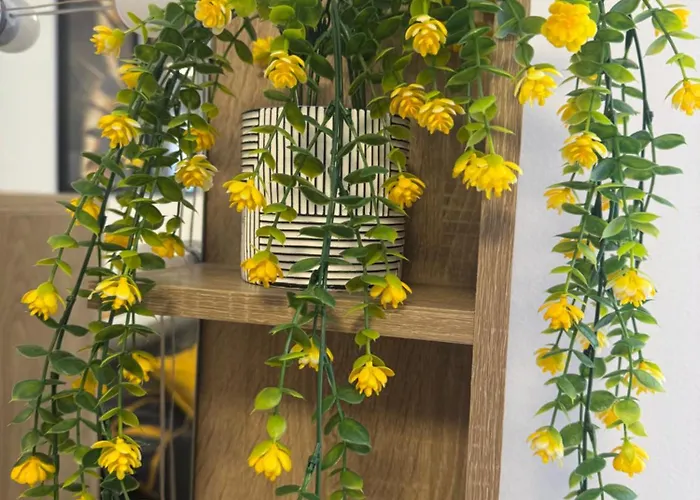 Διαμέρισμα M&k Ρόβινι