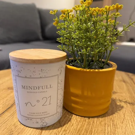 M&k 로비니
